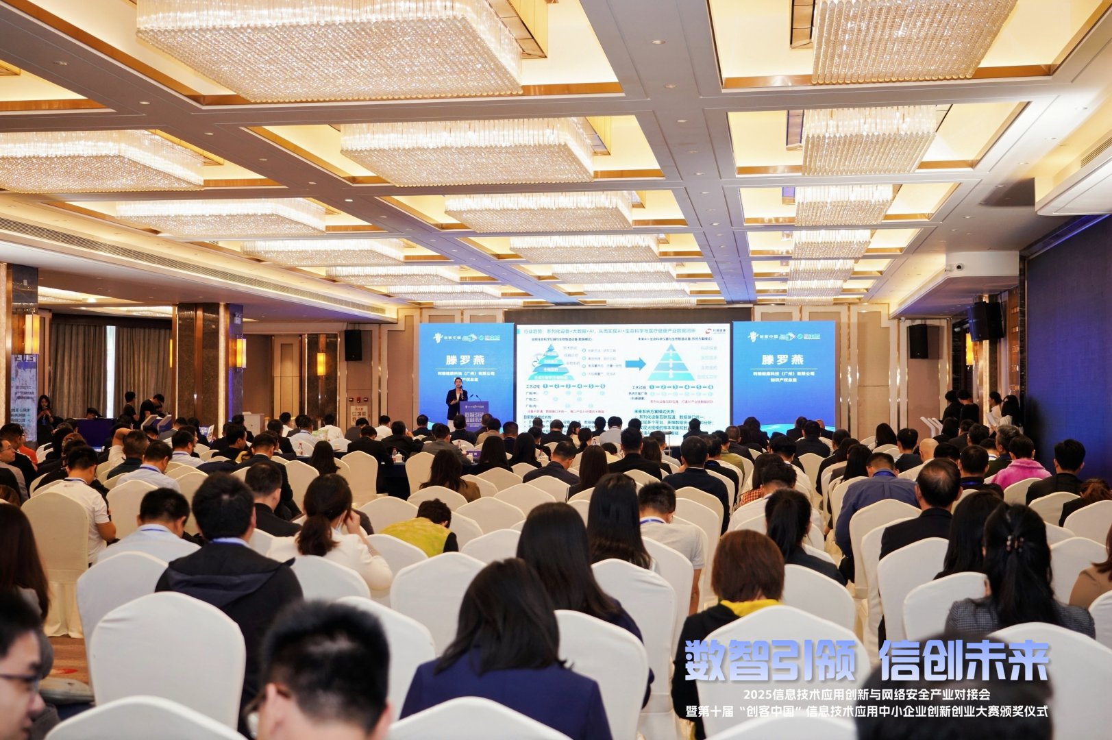 东莞天使会工作照片 4