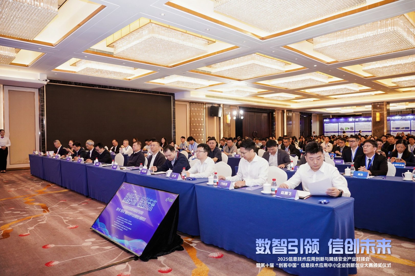 东莞天使会工作照片 6